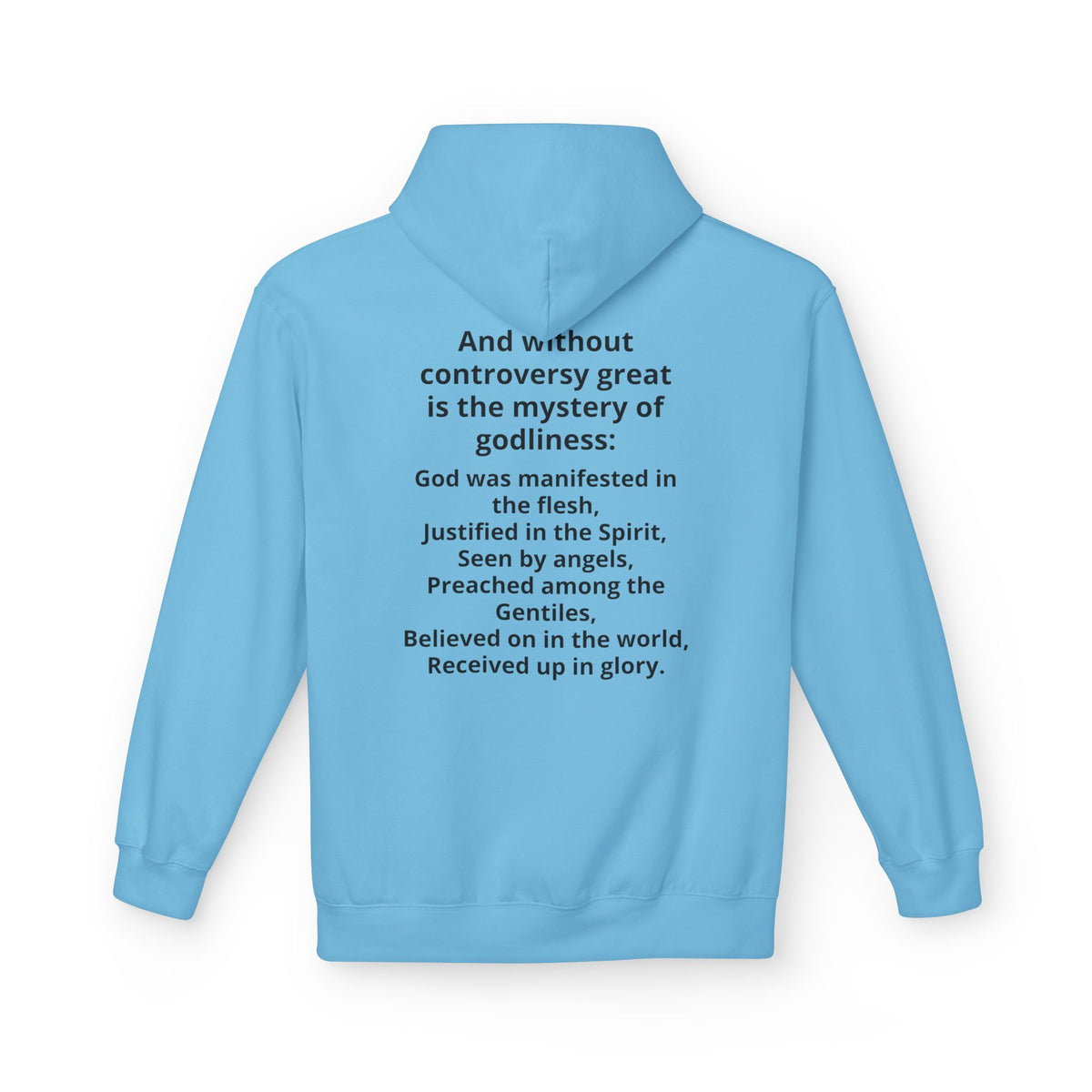 Holy Bible Hoodie — 1 Timothy 3:16 Scripture Pullover